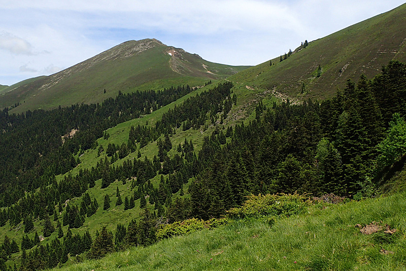 Le Mont Né - Le Mont Né