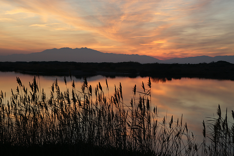 Sur les rives de la Méditerranée - Coucher de soleil sur le Canigou