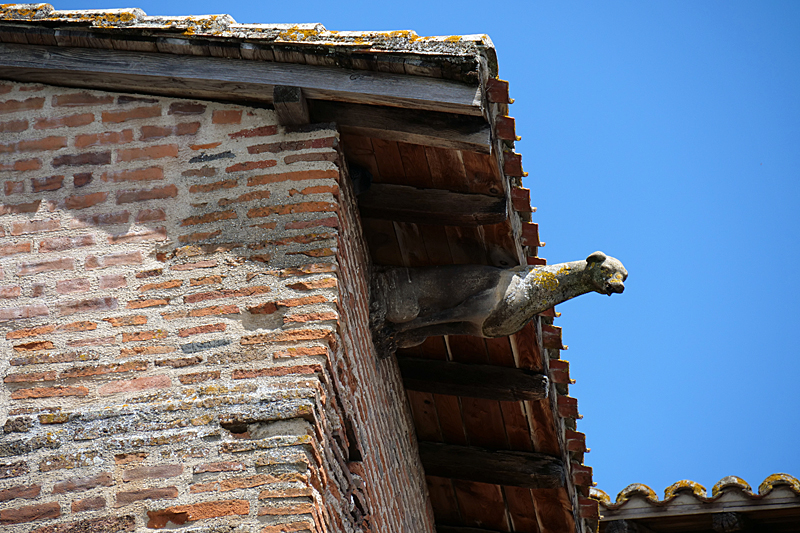 Au fil du Tarn et de l Aveyron... - Gargouille de la maison [q]Pierre de Biens[q] à Gaillac