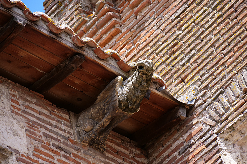 Au fil du Tarn et de l Aveyron... - Gargouille de la maison [q]Pierre de Biens[q] à Gaillac