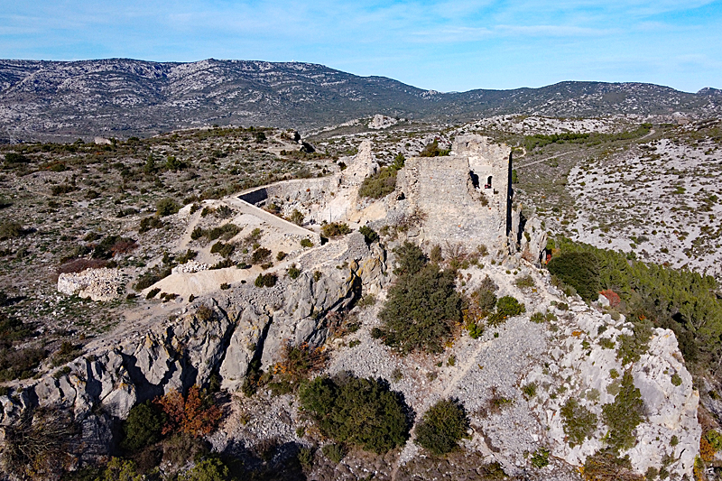 Château de Salveterra - Le château