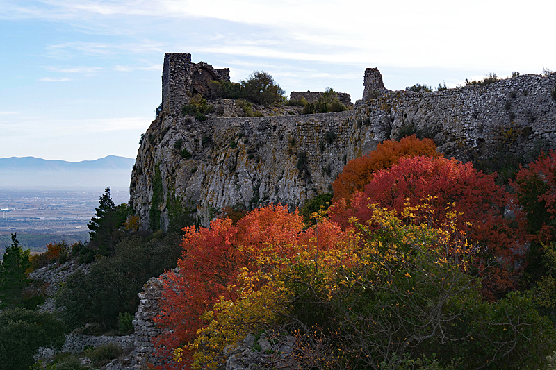 Château de Salveterra - Le château