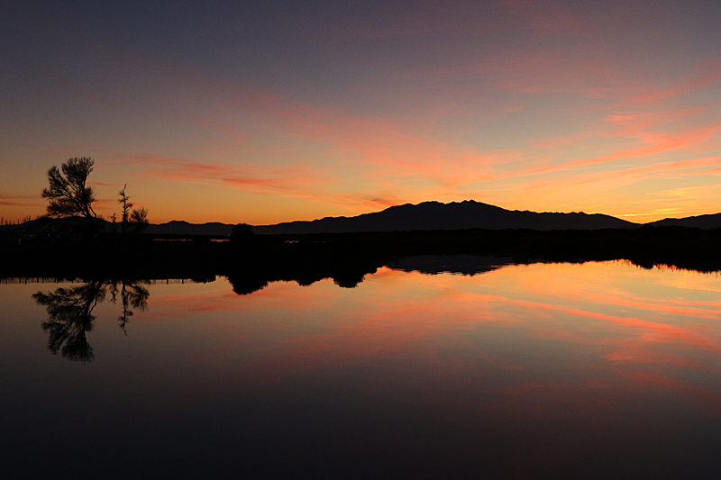 Couchers de soleil - Coucher de soleil sur l étang de Leucate et le Canigou