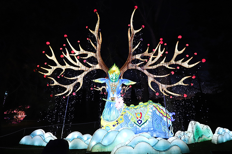Lanternes - Festival des Lanternes à Montauban