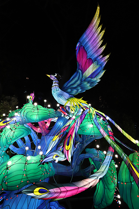 Lanternes - Festival des Lanternes à Montauban