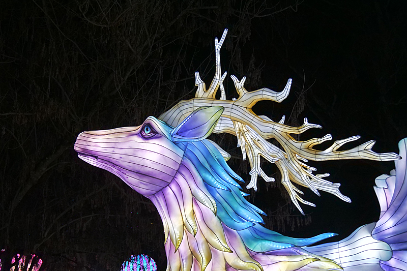 Lanternes - Festival des Lanternes à Montauban