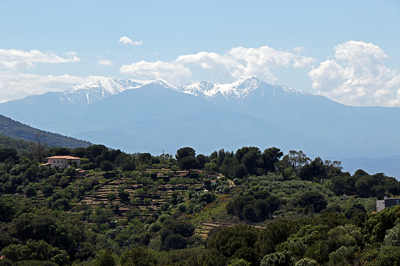 Viaduc ! - Sentier Argelès-sur-Mer - Collioure : le Canigou