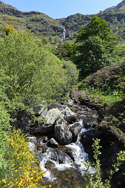 Ardu l Arbu ! - Randonnée de l étang d Arbu : le ruisseau d Arbu descend en cascades depuis l étang