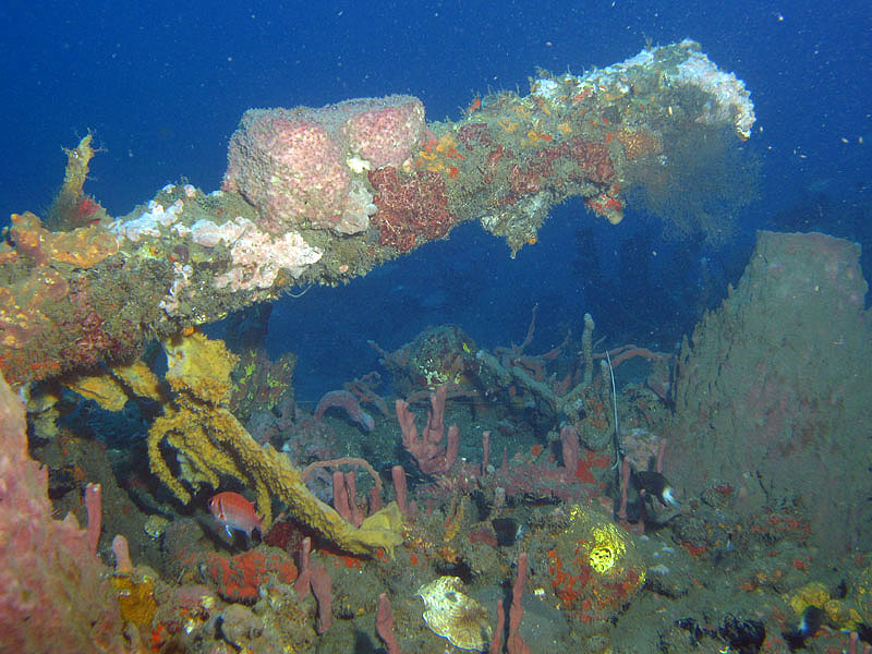 St Pierre - Epave du Biscaye (Pl. n° 7)