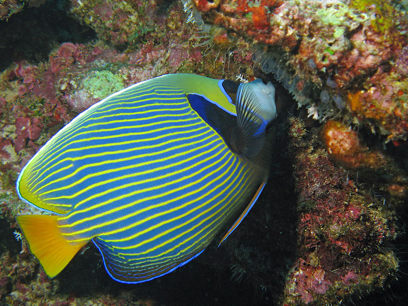Mayotte - Bouéni