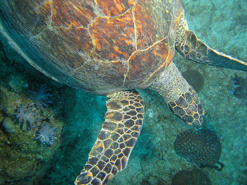 Mayotte - Bouéni