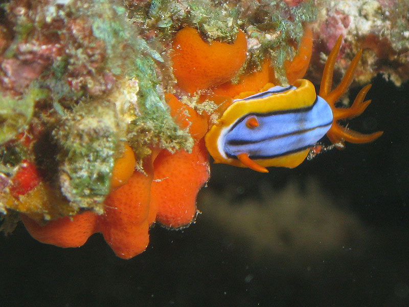 Mayotte - Bouéni