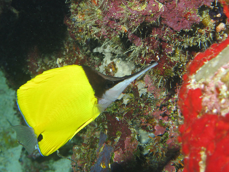Mayotte - Bouéni