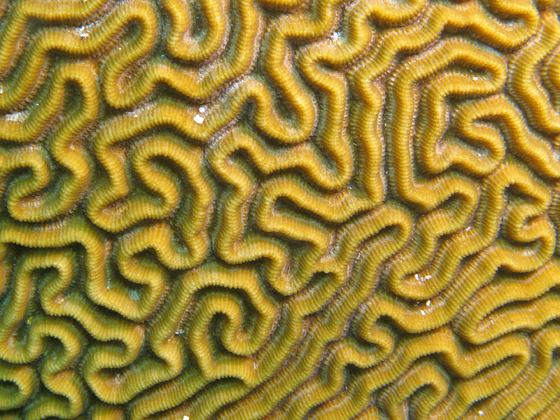 Guadeloupe - photo n° 107