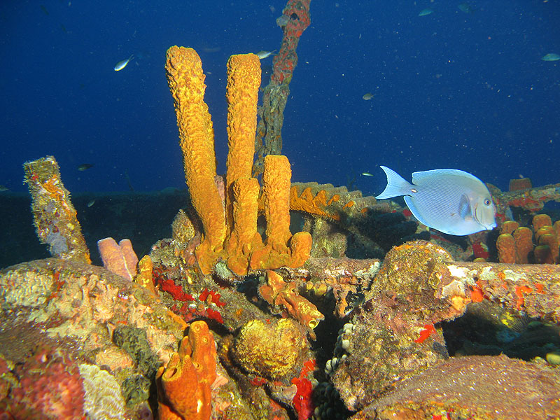 Guadeloupe - photo n° 131