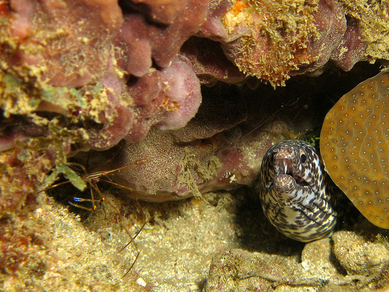 Guadeloupe - photo n° 161