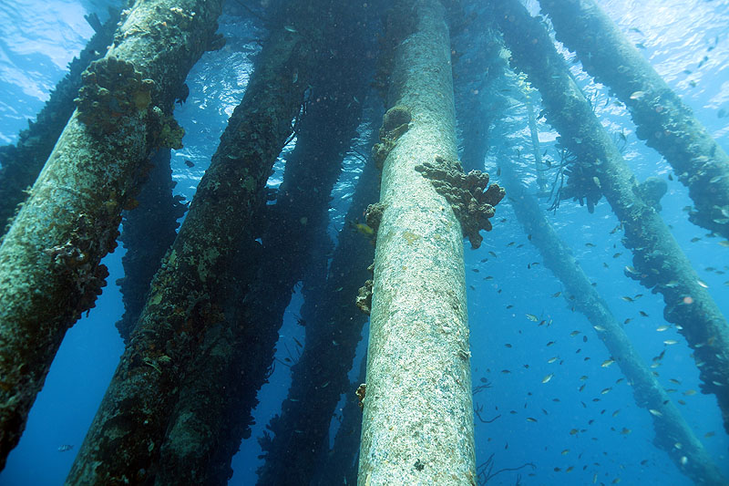 Salt Pier (Pl. n° 29)