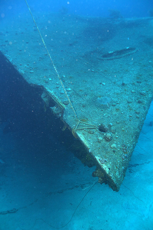 Epave Hilma Hooker (Pl. n° 20)