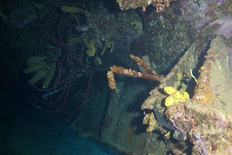 Epave Hilma Hooker (Pl. n° 27)