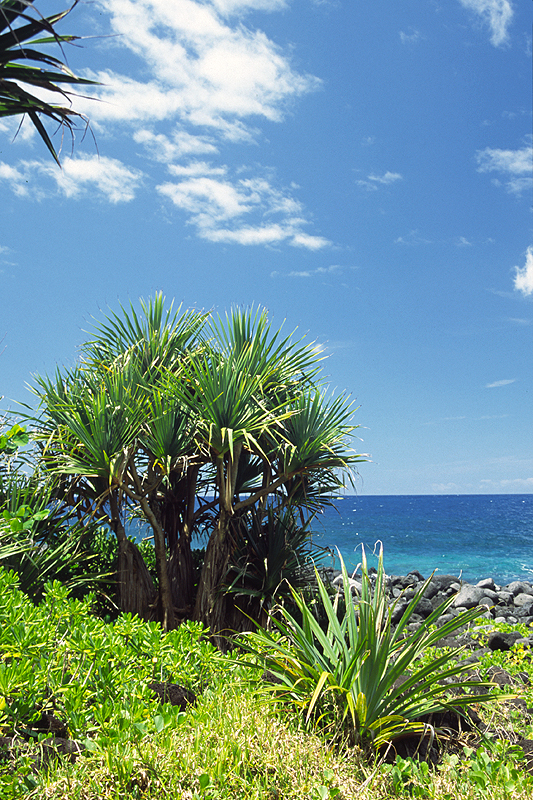 Anse des Cascades