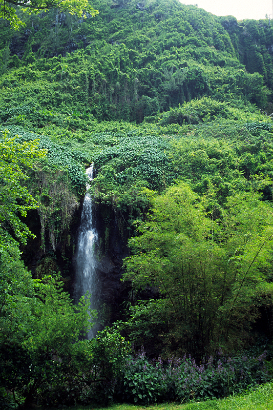 Anse des Cascades