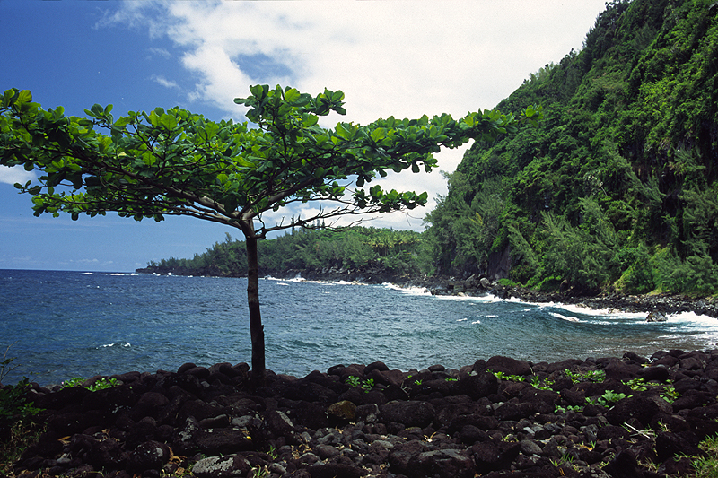 Anse des Cascades