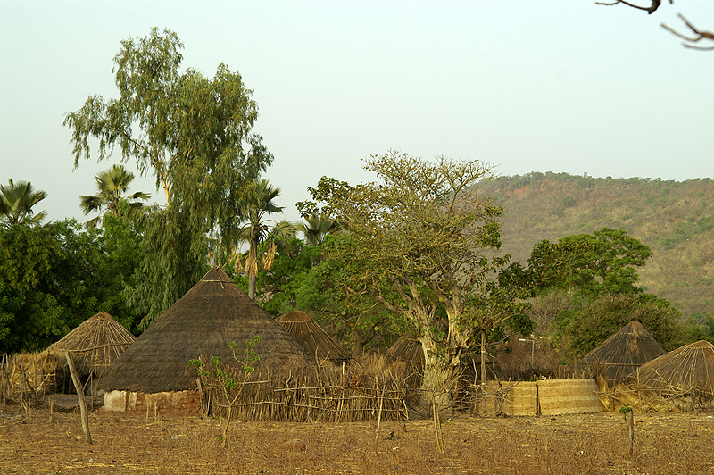 Dindéfello