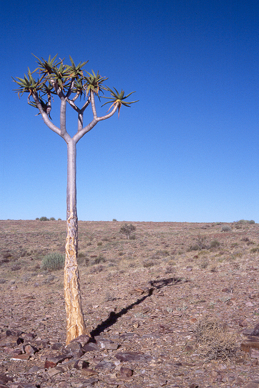 Fish River Canyon