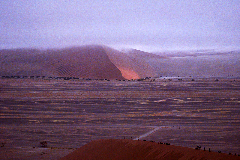 Dune n°45