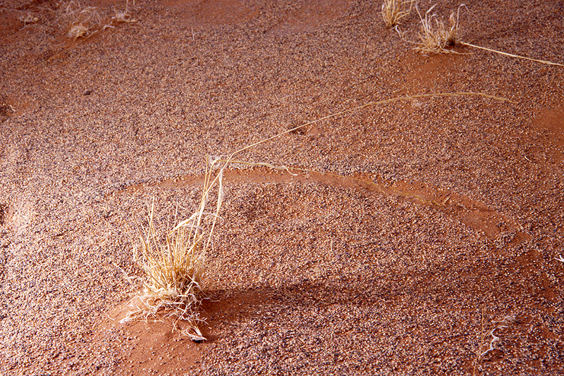 Sossusvlei