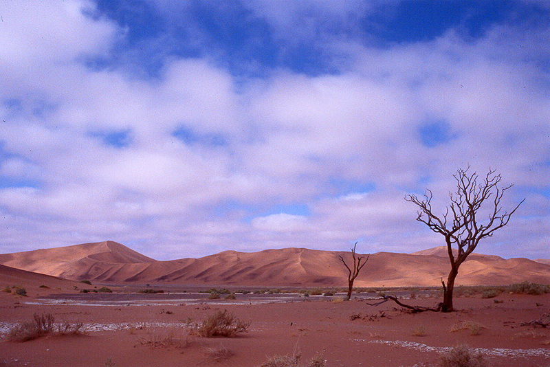 Sossusvlei