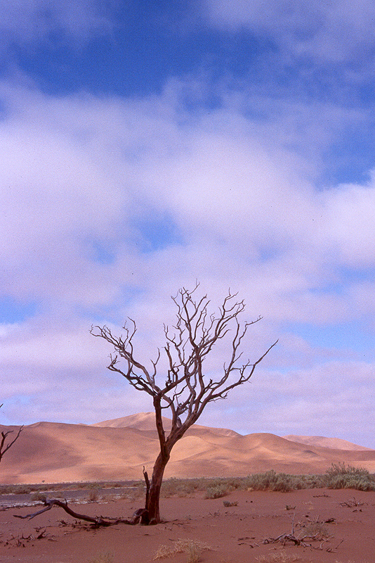 Sossusvlei