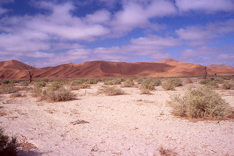 Sossusvlei