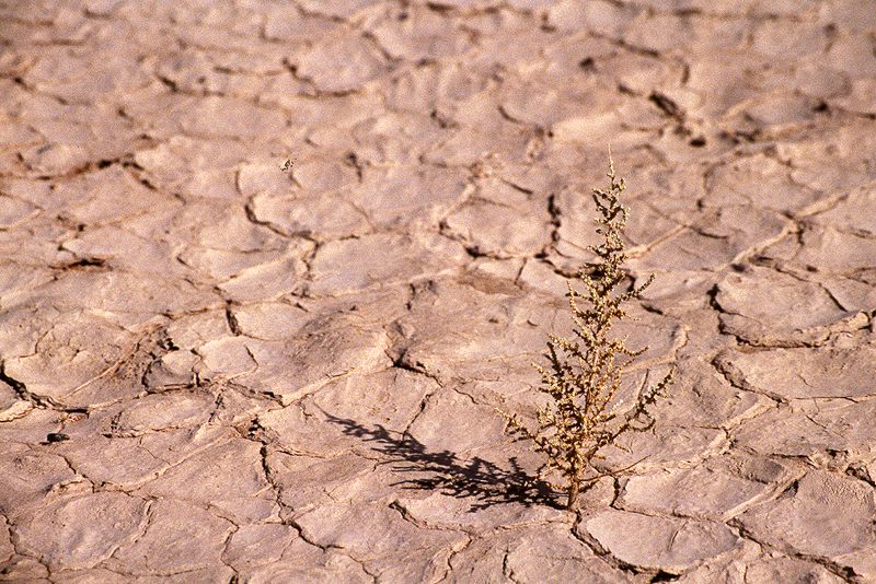 Sossusvlei