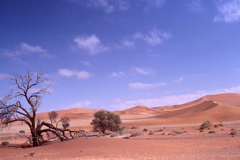 Sossusvlei