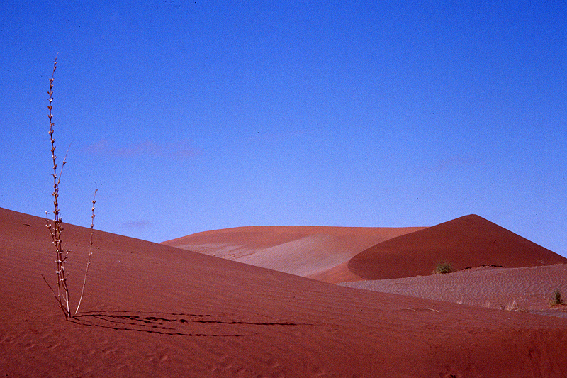 Sossusvlei
