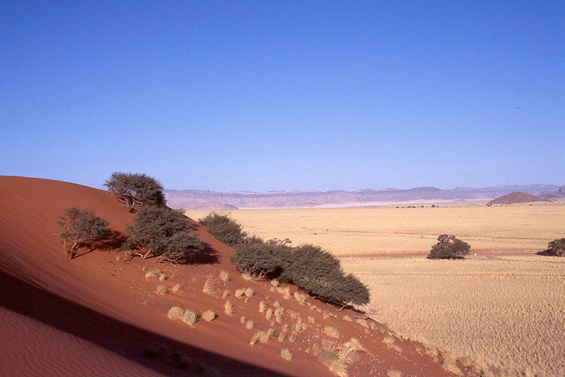 Environs de Sesriem