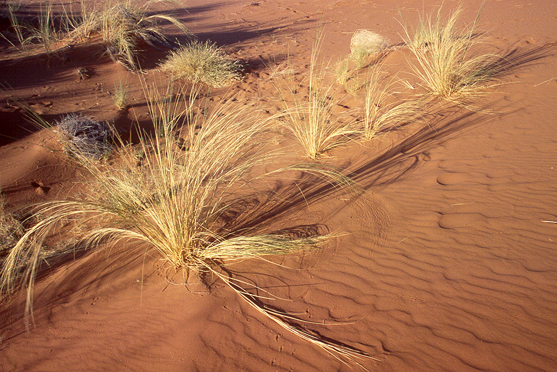 Environs de Sesriem