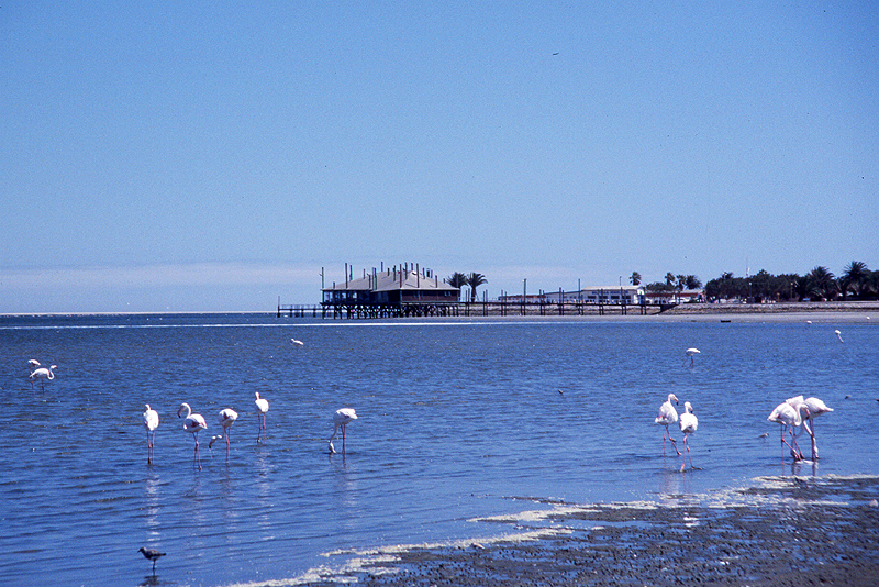 Walvis-bay