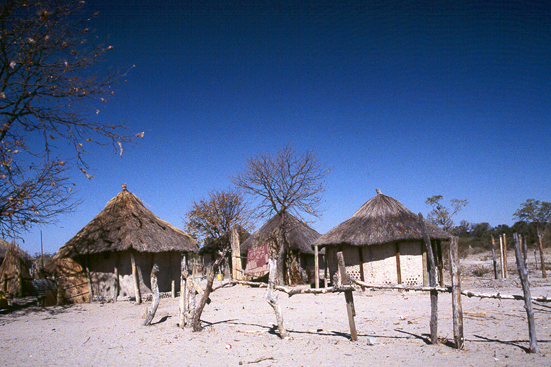 Moremi / Okavango