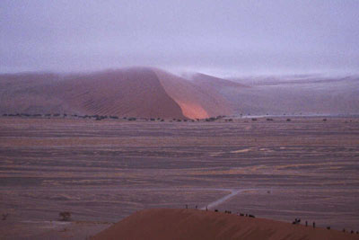 Dune n°45