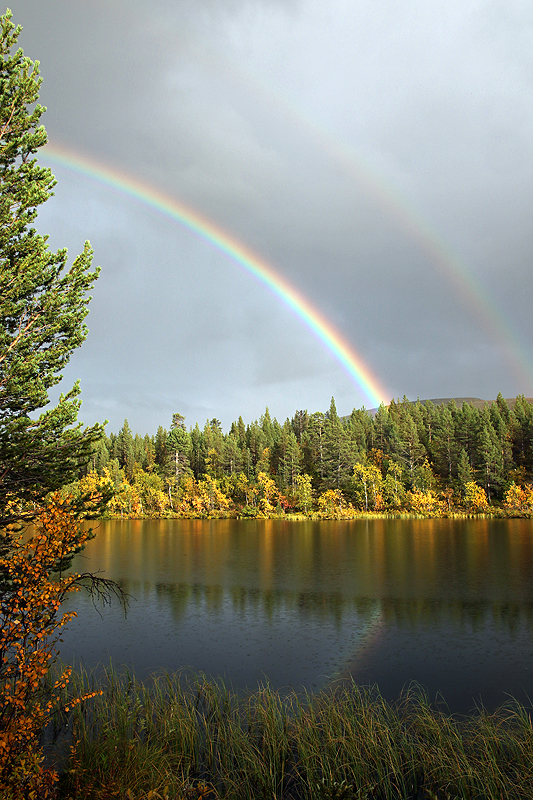 Lac [q]Iso Kieppisjärvi[q]