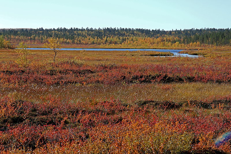 Rando lac Kaarejärvi