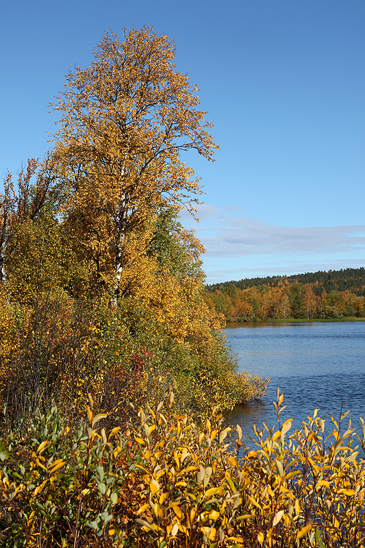 Rando lac Kaarejärvi
