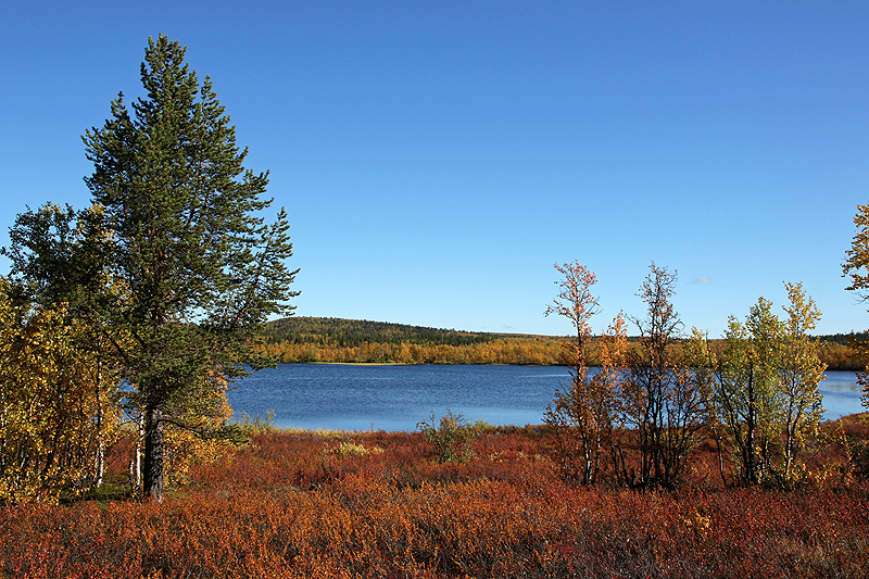 Rando lac Kaarejärvi
