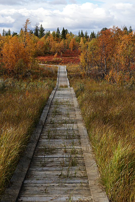 Rando lac Kaarejärvi