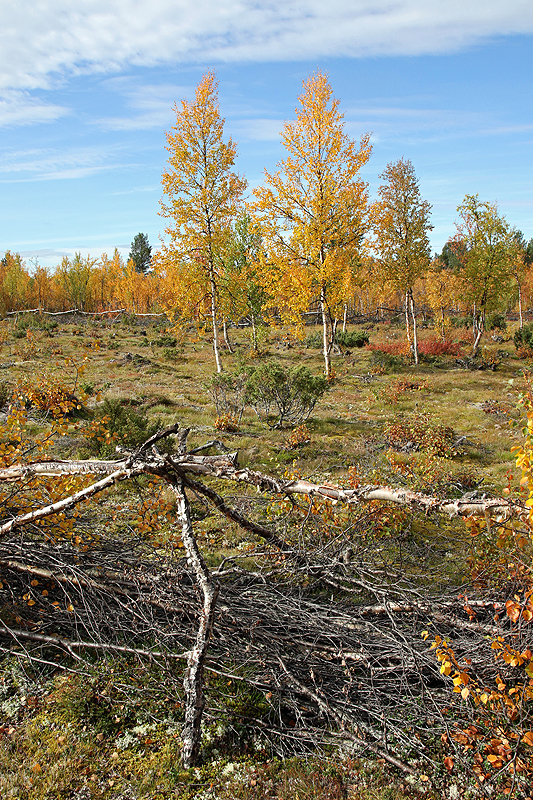 Rando lac Teukkajärvi