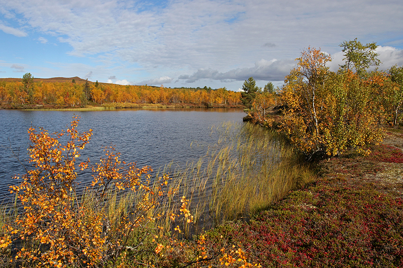 Rando lac Teukkajärvi