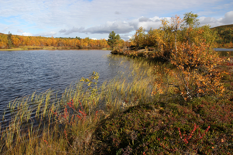 Rando lac Teukkajärvi