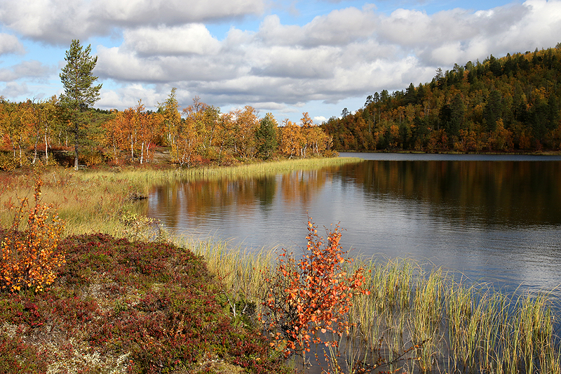 Rando lac Teukkajärvi